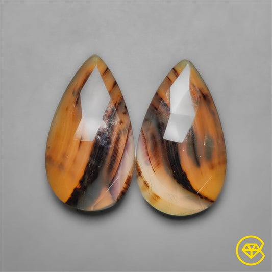 Montana Agate