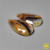 Montana Agate