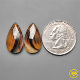 Montana Agate
