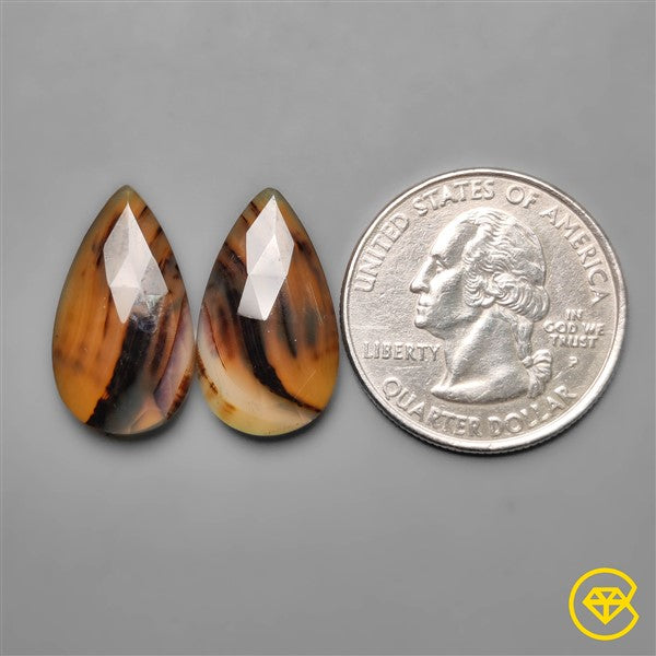 Montana Agate