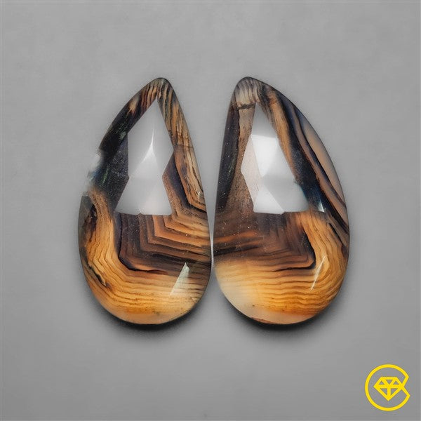 Montana Agate