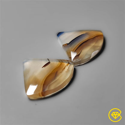 Montana Agate