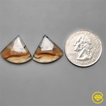 Montana Agate