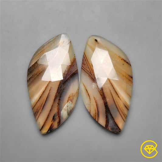 Montana Agate