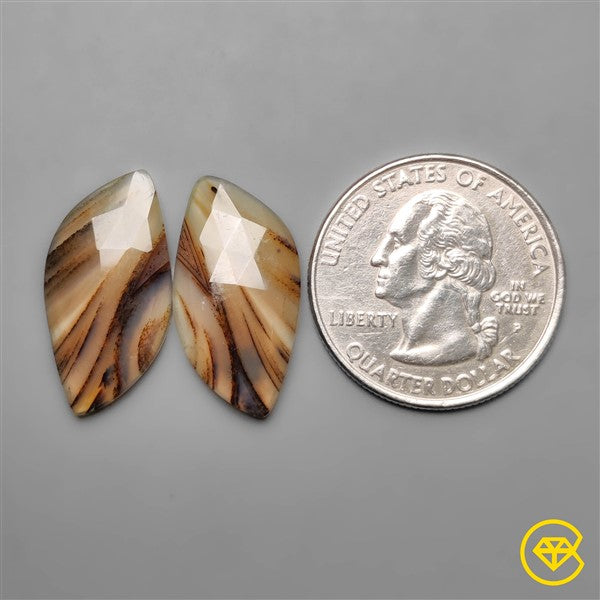 Montana Agate