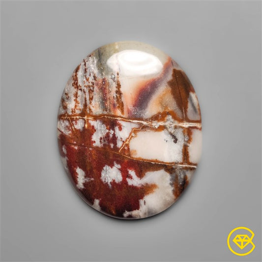 Petrified Wood