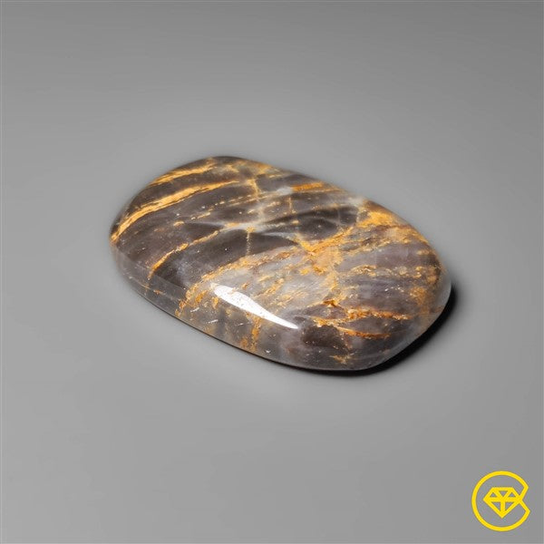 Petrified Wood