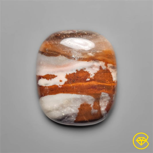 Petrified Wood