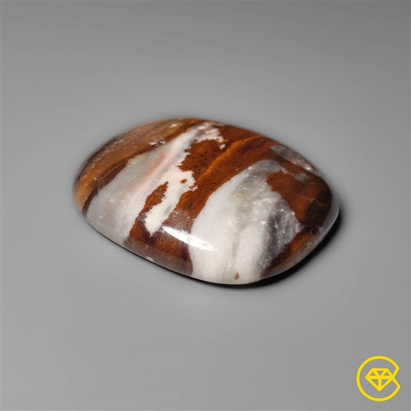 Petrified Wood