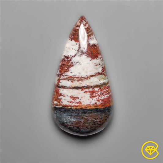 Petrified Wood
