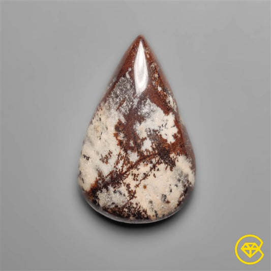 Petrified Wood