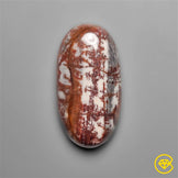 Petrified Wood