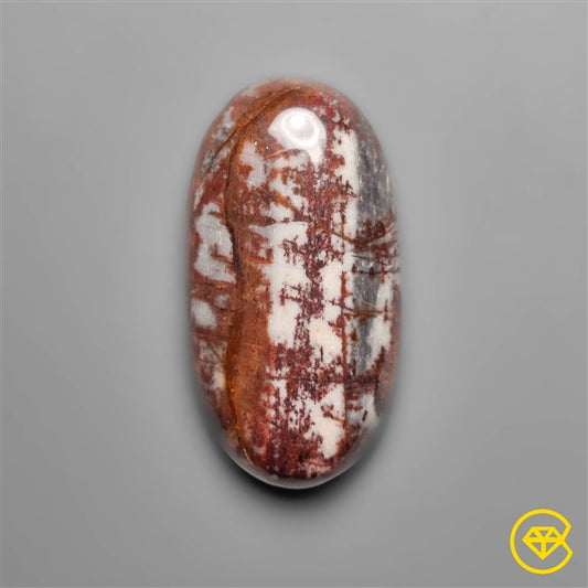 Petrified Wood