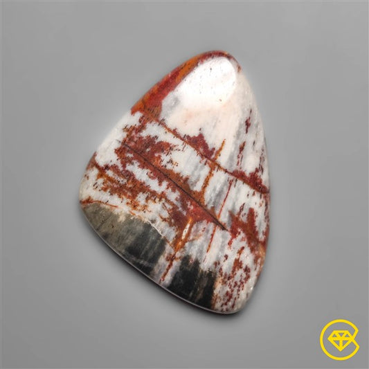 Petrified Wood