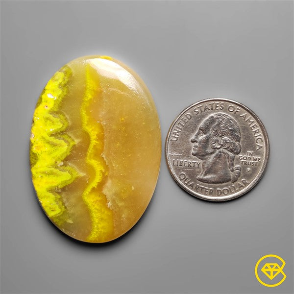 Bumble Bee Jasper,Calcite