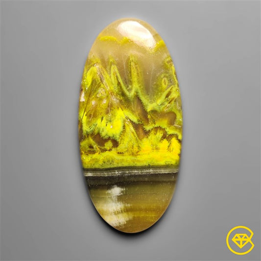 Bumble Bee Jasper,Calcite