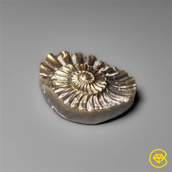 Ammonite,Pyrite