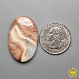 Snakeskin Jasper