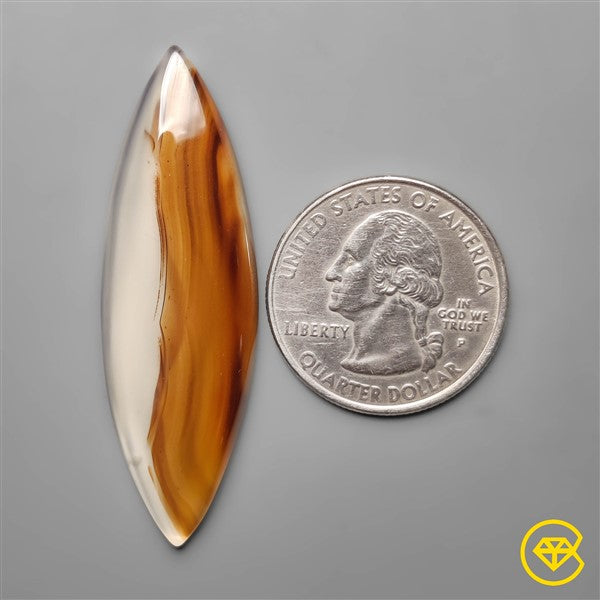 Montana Agate