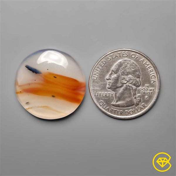 Montana Agate