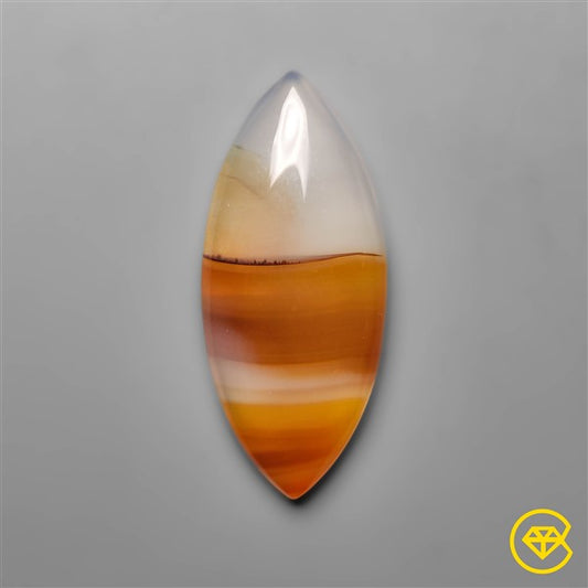Montana Agate