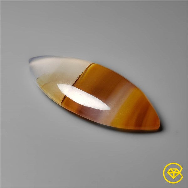 Montana Agate