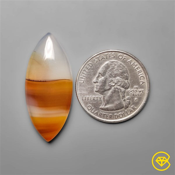 Montana Agate