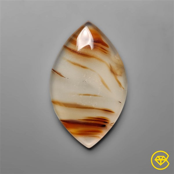 Montana Agate