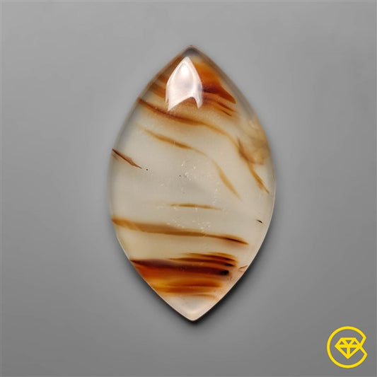 Montana Agate