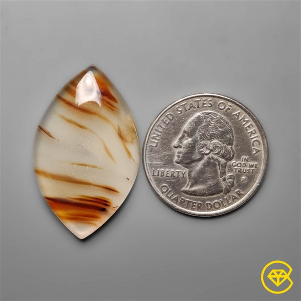 Montana Agate