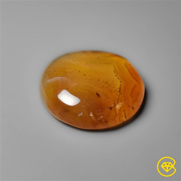 Montana Agate