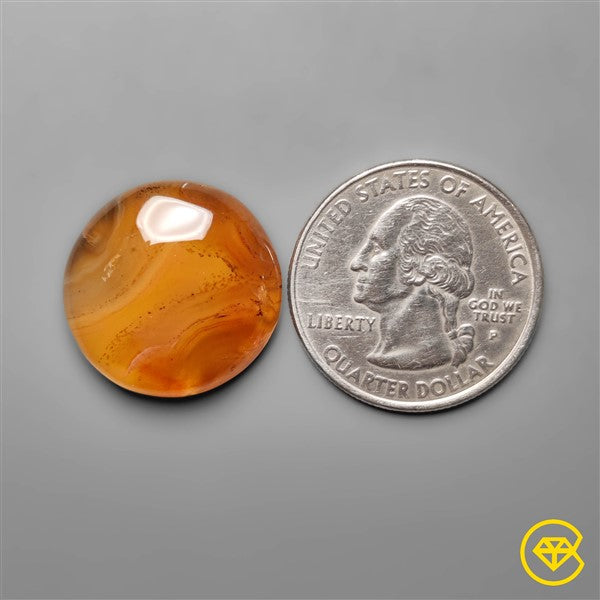 Montana Agate