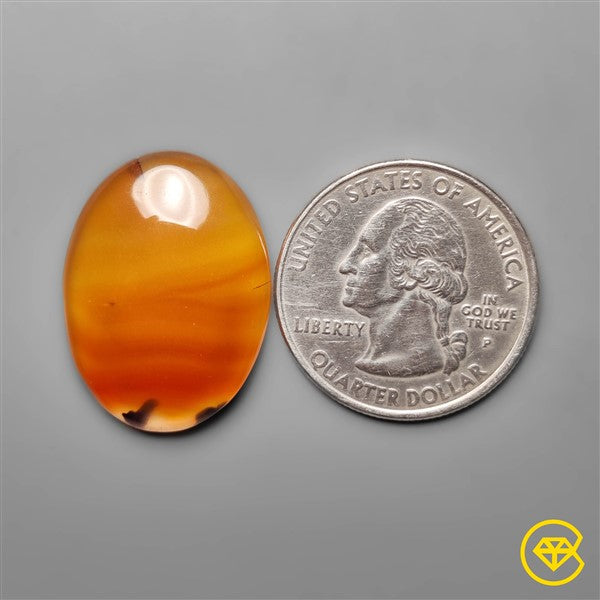 Montana Agate
