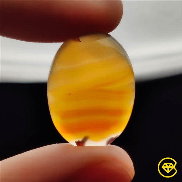 Montana Agate