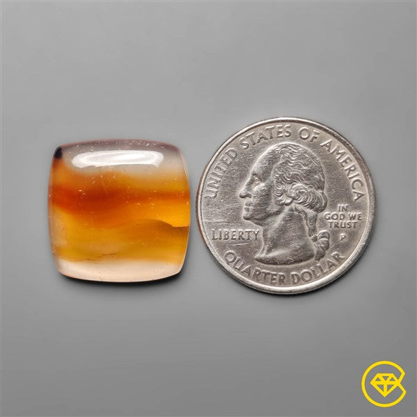 Montana Agate
