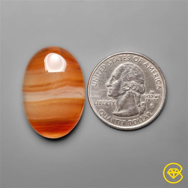 Montana Agate