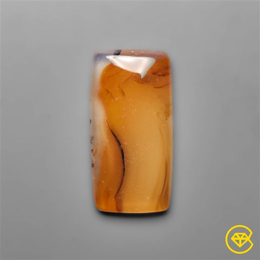 Montana Agate
