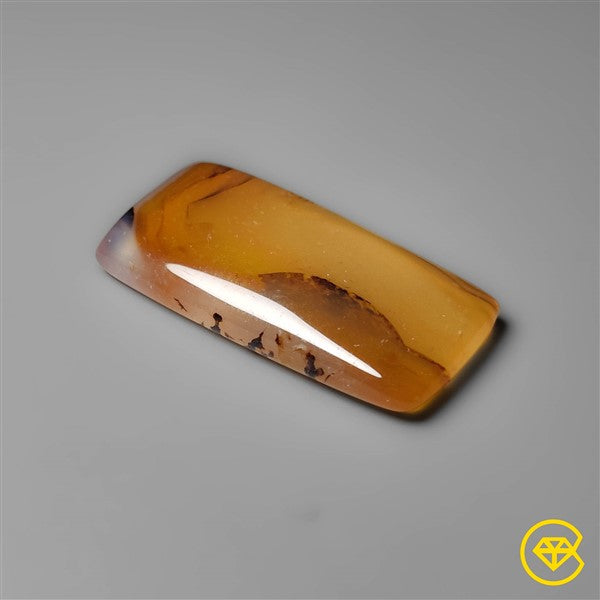 Montana Agate
