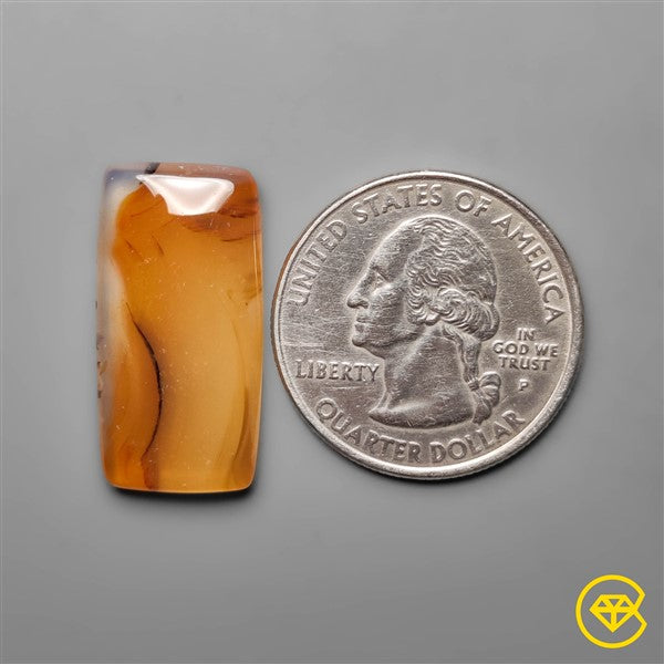 Montana Agate