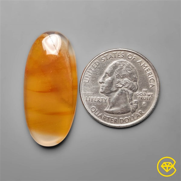 Montana Agate