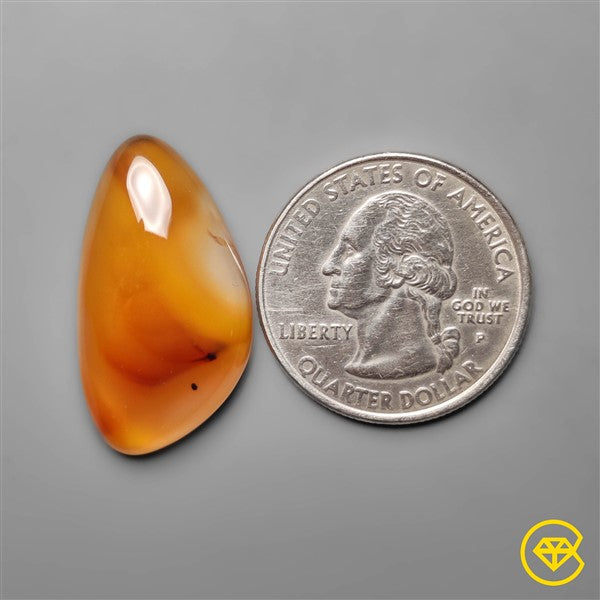 Montana Agate