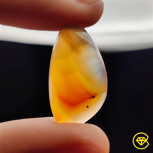 Montana Agate