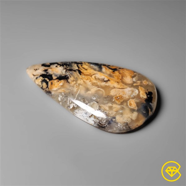 Dendritic Agate