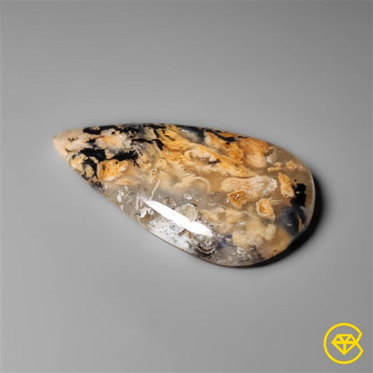 Dendritic Agate