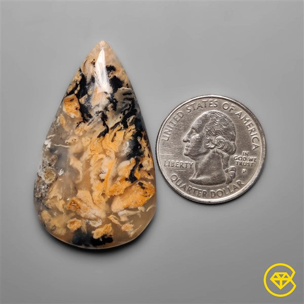 Dendritic Agate