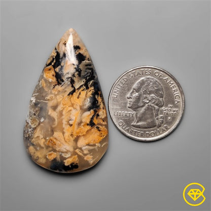 Dendritic Agate