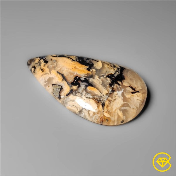 Dendritic Agate