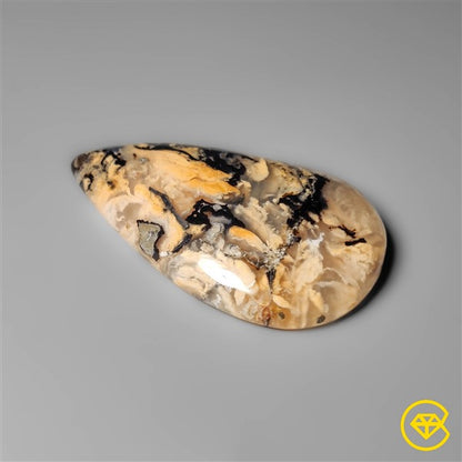 Dendritic Agate
