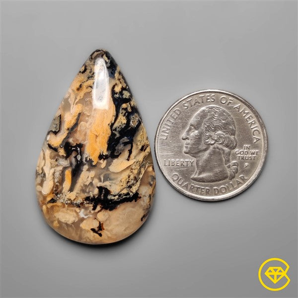 Dendritic Agate