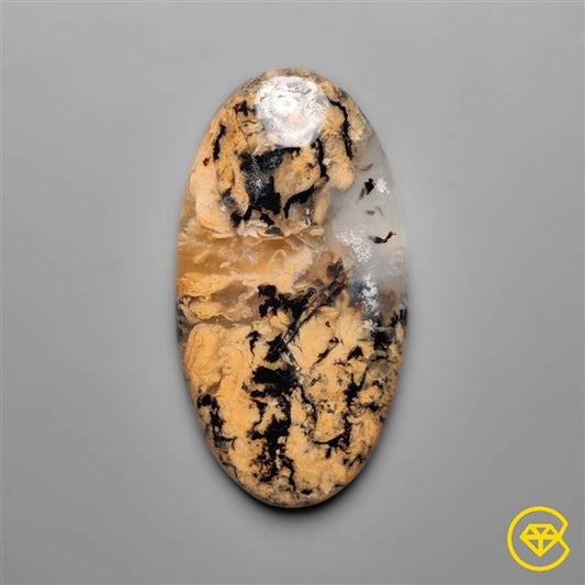 Dendritic Agate
